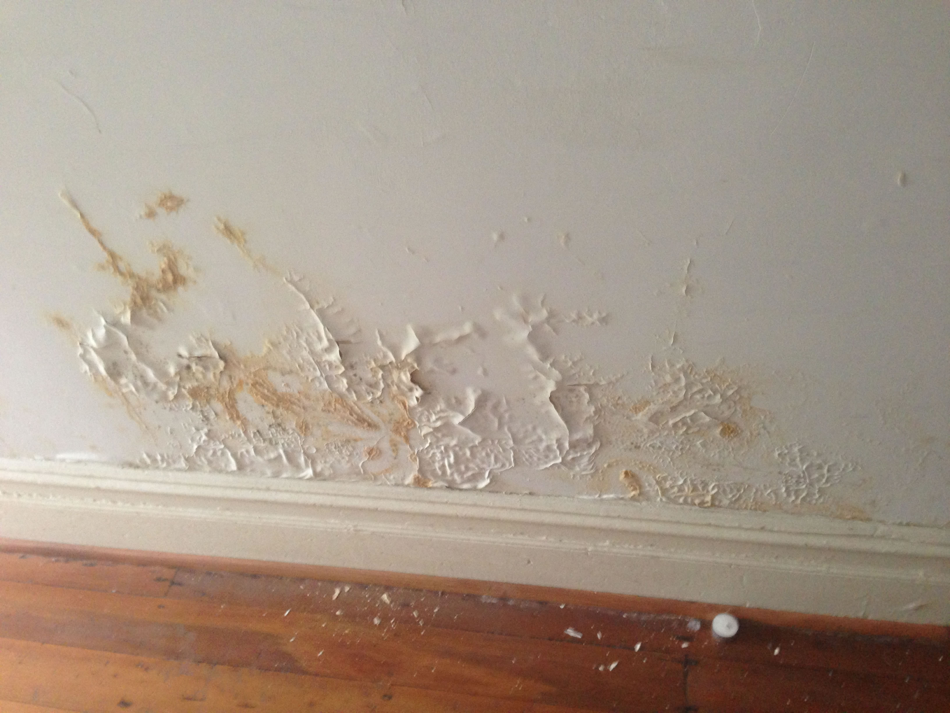 Rising Damp Services Sydney The expert in Stopping & Treating Damp